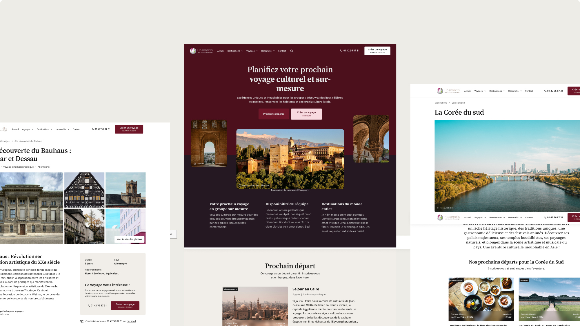 hasamelis-wireframe-01